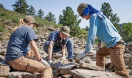 科罗拉多州拨款2500万美元帮助清理废弃的油气井