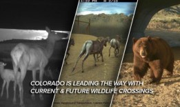 如果你愿意去冒险，这里有隐藏的现金等着你去抢