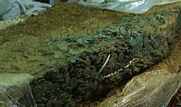 皇家资助的项目是为了更多地了解泽西岛世界上最大的凯尔特硬币窖藏