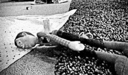 阿拉巴马州男子承认威胁亚利桑那州选举官员：“你死定了!”