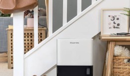 家庭问答：何时及如何使用除湿机？