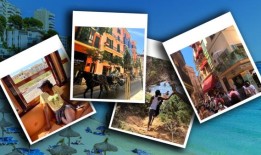 2024年7月29日至8月4日每周塔罗牌占卜