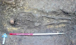 在马姆斯伯里酒店花园下发现了几十具骷髅