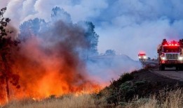 加州森林牧场的公园大火烧毁了房屋