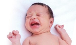 劳拉·纽维尔：想让WA成长吗？新妈妈们最需要支持