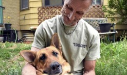 为了寻求康复而放弃宠物可能会加重创伤一个组织打算结束这一局面