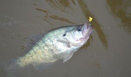 乔治亚州一家纺织厂承诺停止向韦斯湖排放PFAS化学品