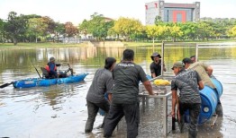 湖中发现的鳄鱼的起源是个大谜团