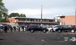 为了寻求康复而放弃宠物可能会加重创伤一个组织打算结束这一局面