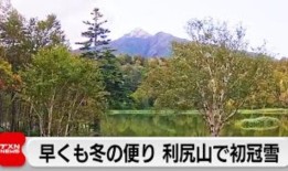 飞行汽车显示救灾潜力