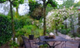 为什么要在暴雨前播种