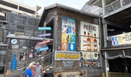 人口增长;牛鲨;佛罗里达-巴马：在阿拉巴马州