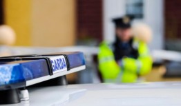 一名男子在都柏林被发现醉酒并持有玩具枪后被捕