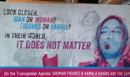 “阿拉巴马州不是战场但这个席位是“：全国民主党开始州闪电战