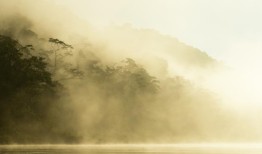 墨西哥第一个黑白相间的鹰巢是研究人员的宝库