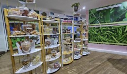 2023世博会将让参观者熟悉世界各地的绿色文化实践