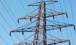 ipp：国有化是一个有缺陷的想法