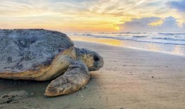 科罗拉多州拨款2500万美元帮助清理废弃的油气井