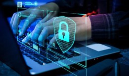 掌握技术中的隐私：如何在2024年安全管理数字环境-学术开放获取2024