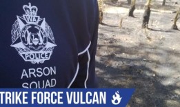 警方指控一名男子在星际沼泽点燃丛林大火