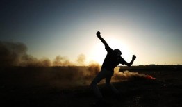 据报道，到目前为止，科威特在2023年每天驱逐100多名外国人