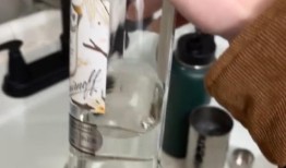 狗喝了百利酒和伏特加醉了，整晚都在兽医诊所