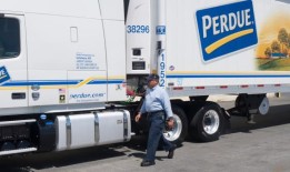 受欢迎的鸡肉品牌因可能受到金属污染而召回鸡块：见列表