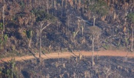 价值万亿美元的组织敦促政府采取行动阻止自然损失