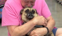 在亨茨维尔一名男子惨遭谋杀后，人们开始寻找他心爱的狗“公主”