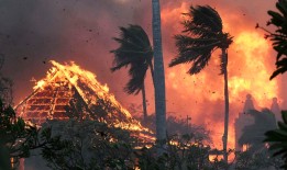 毛伊岛大火现场更新：36人死亡，数千人逃离“前所未有”的灾难