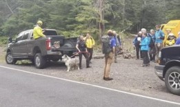 吉福德·平肖国家森林发现的人类遗骸被认为是失踪的西雅图人