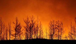 乌克兰西部野火夺去3人生命