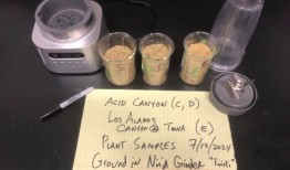 美国著名的登山胜地被指受到堪比切尔诺贝利的放射性废物污染，但政府对此予以否认