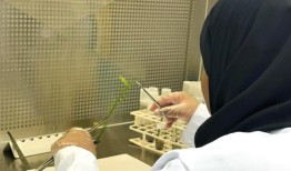 市政府为学生讲授组织培养技术