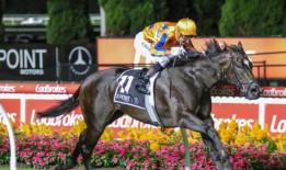 Imperatriz加冕冠军短跑在澳大利亚年度马奖