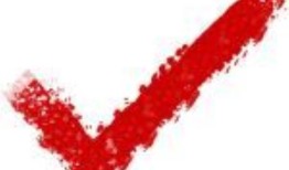 快查：又有一只死于波斯的海豚被发现了吗？