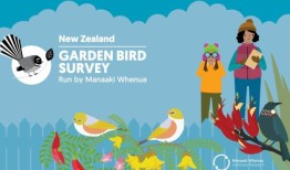 这个周末，新西兰人要求进行观鸟活动