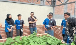 智能花园：为什么你应该自动化你的绿色空间