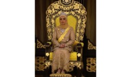 皇后穿着木槿刺绣，散发着帝王般的美丽