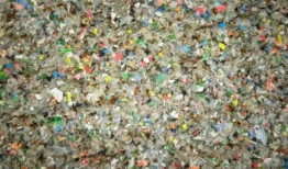 研究显示，人类大脑组织由0.5%的微塑料组成