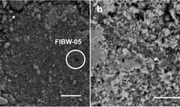 通过电子显微镜发现了宇宙生命的基本组成部分