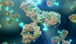 大选后，澳大利亚研究再次燃起希望_科学_鸡鸣网