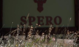 随着服务需求的增长，常青恢复中心将扩大规模