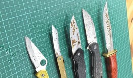 澳大利亚网球队长休伊特在戴维斯杯前对德米纳尔的失利不以为然