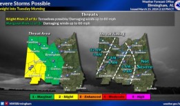 暴风雨席卷比布县，一名男子被倒下的树枝击中