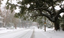 阿拉巴马州墨西哥湾沿岸创纪录的降雪超过了蒙大拿州比林斯：看看数据