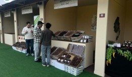 Souq Waqif国际枣展开幕，各界人士踊跃参与