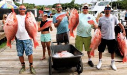 鲨鱼，一艘船和埃迪表哥：我们在阿拉巴马州深海捕鱼竞技表演中看到的