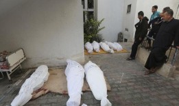 “太多”巴勒斯坦人死于以色列在加沙的行动——布林肯