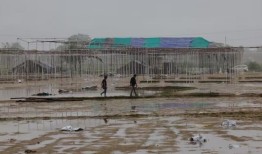 印度宗教活动发生致命踩踏事件，6人被捕